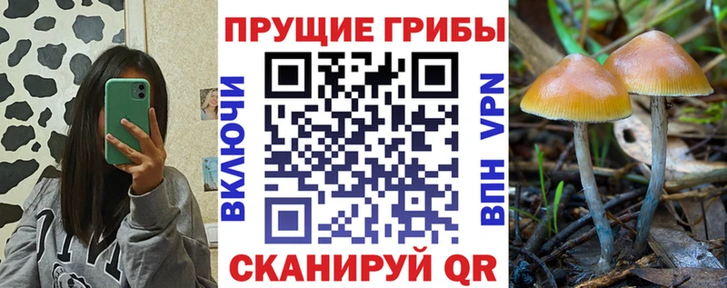 Галлюциногенные грибы прущие грибы Лесосибирск